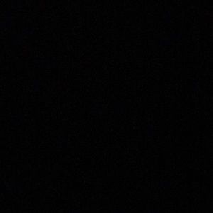 Meet your Posher, Allie